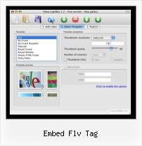 Embedding FLV Files in HTML embed flv tag