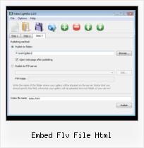 HTML Video Skins embed flv file html