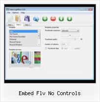 Javascript Video Web Page embed flv no controls