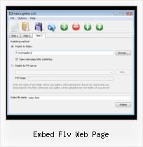 Web Stunning FLV Player embed flv web page