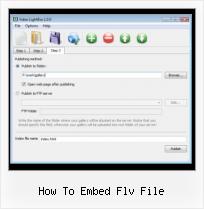 Code to Embed FLV how to embed flv file