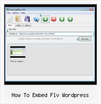 Javascript Video Code how to embed flv wordpress